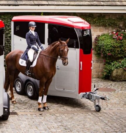 Ifor Williams HBX 403 Frontausstieg